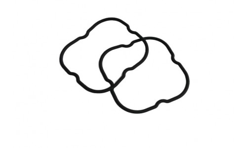 Diff Seals for New Flower Diff - 2Pcs | Rovan Sports